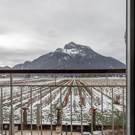 Numa Salzburg Ivy Apart Otel Anif